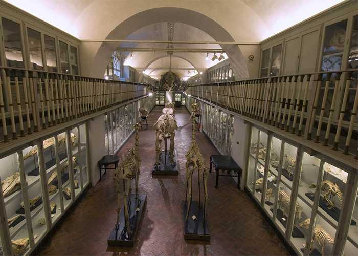 Riapertura La Specola